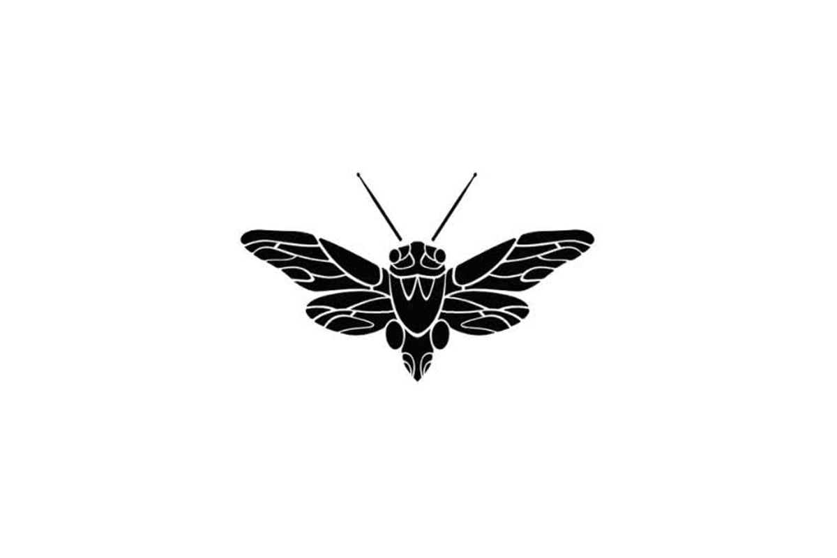 What we’ve learned from running an indie label through COVID