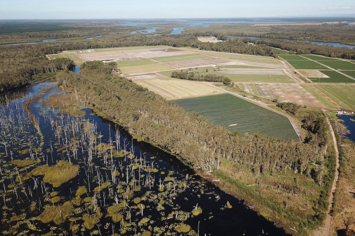 Queensland’s Sunshine Coast Gets New Festival Site, Peter Noble Open to Relocating Bluesfest (EXCLUSIVE)