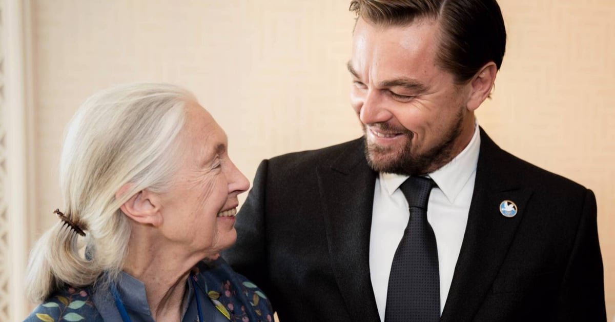 Leonardo DiCaprio Writes Tribute to 'Dear Friend' Jane Goodall