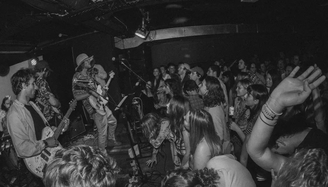 The New Zealand Music Community Saved Neck of the Woods. What Happens Now?