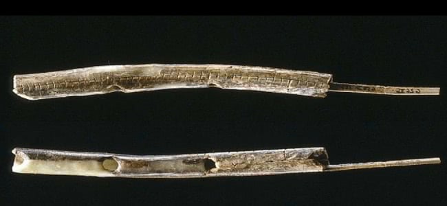 Extinct Instruments World's Oldest Instruments Discovered, May Have Given Us The Edge Over ...