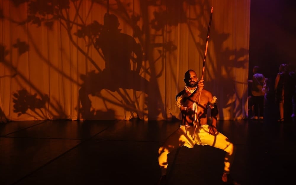 Albanese Government Backs Seven Arts Projects to Showcase Australian Talent on the Global Stage