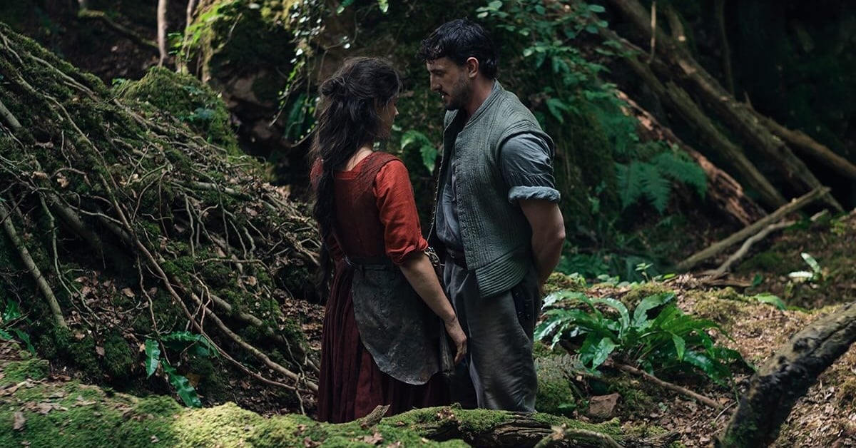 The Top Films You Can Watch in Theatres or at Home This January