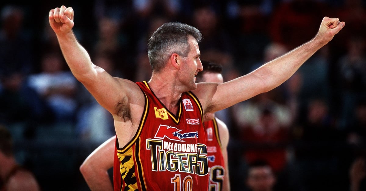 Andrew gaze dunk online