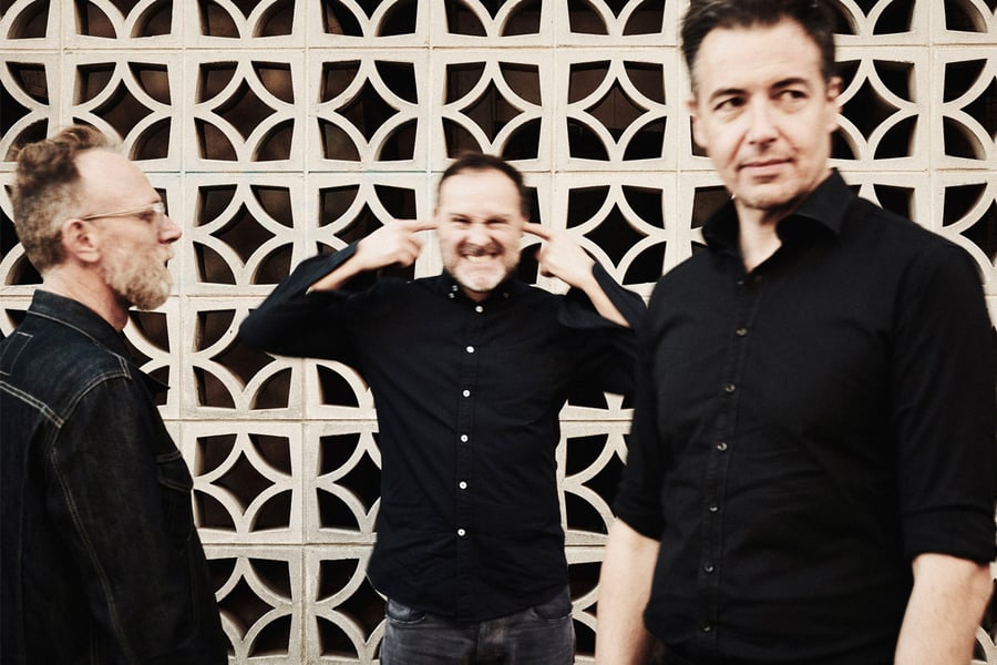 Image of The Electorate