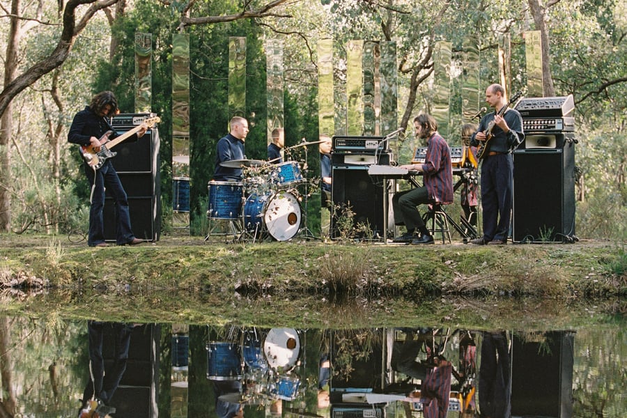 Image of Mildlife
