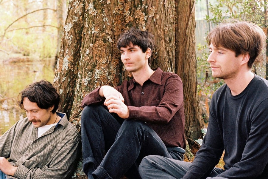 Office Dog The Others Way 2023