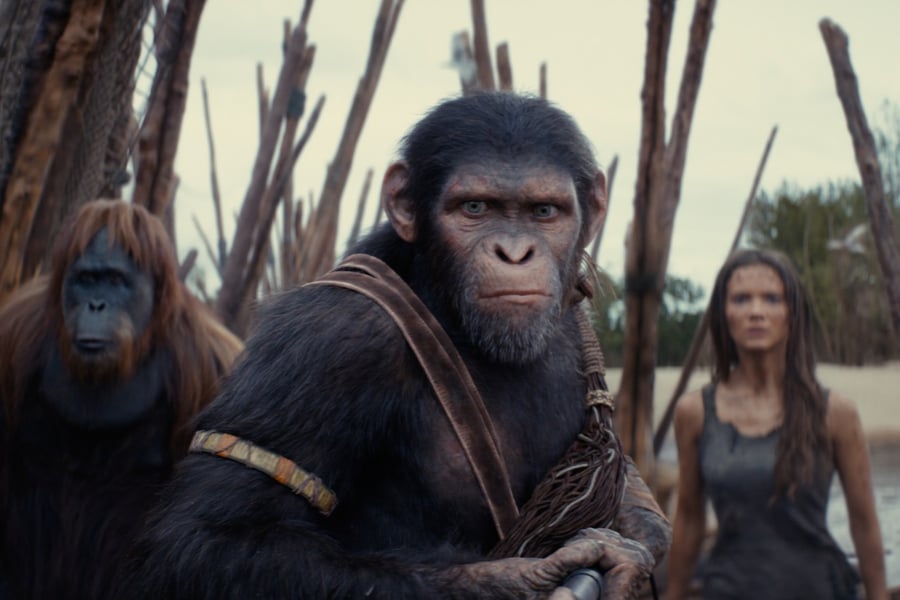 Kingdom of the Planet of the Apes