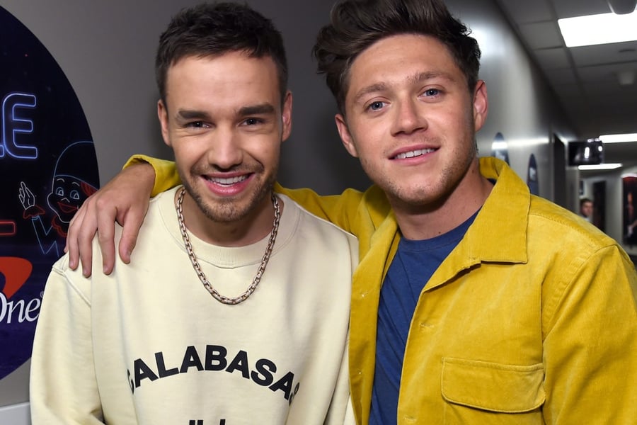 Liam Payne and Niall Horan