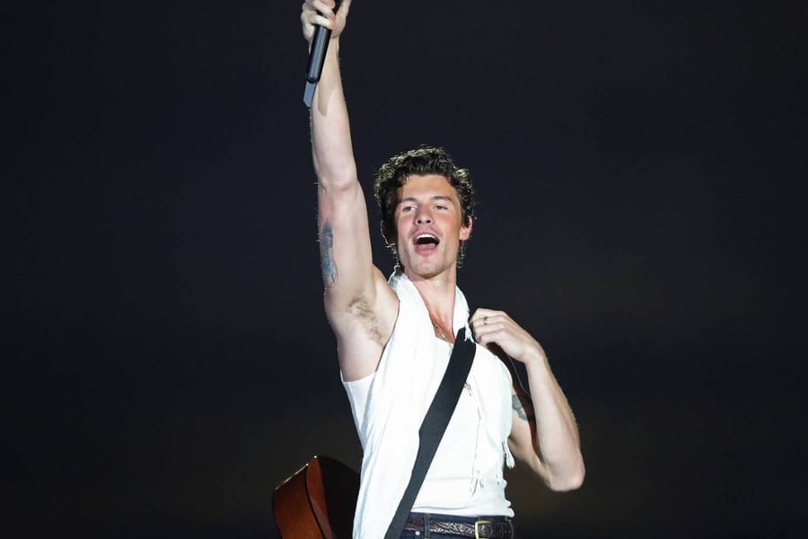 Shawn Mendes