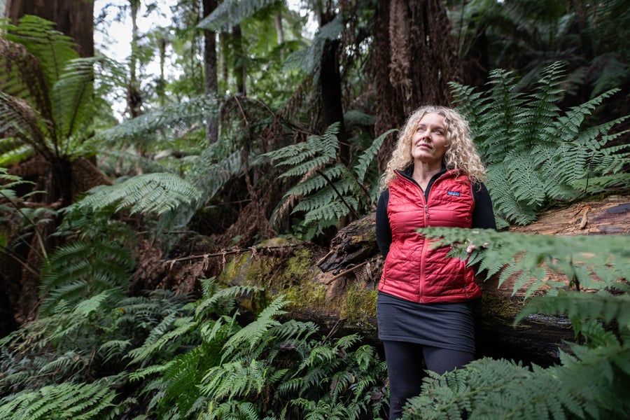 The Fight For Victoria's Forests: Rolling Stone Feature Story