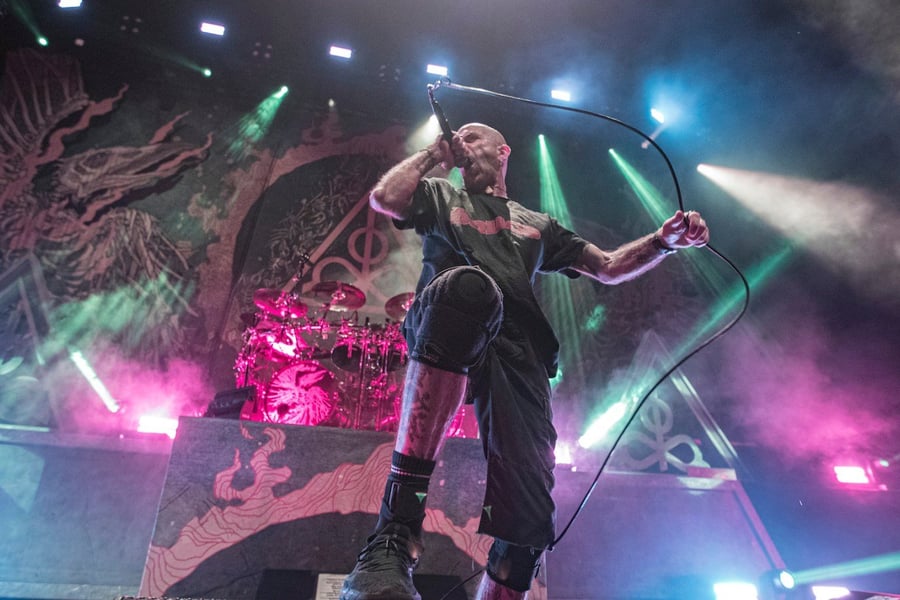 Lamb of God