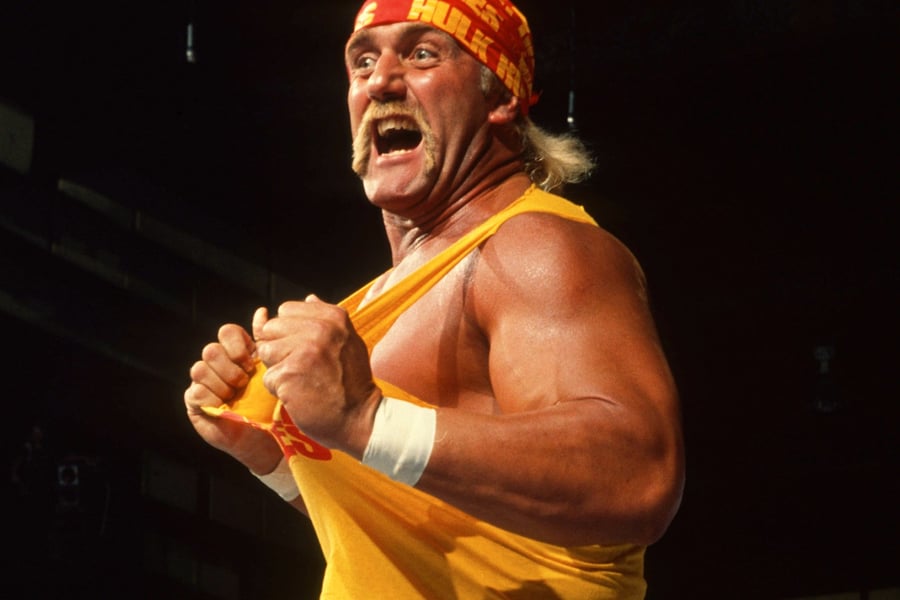 Hulk Hogan