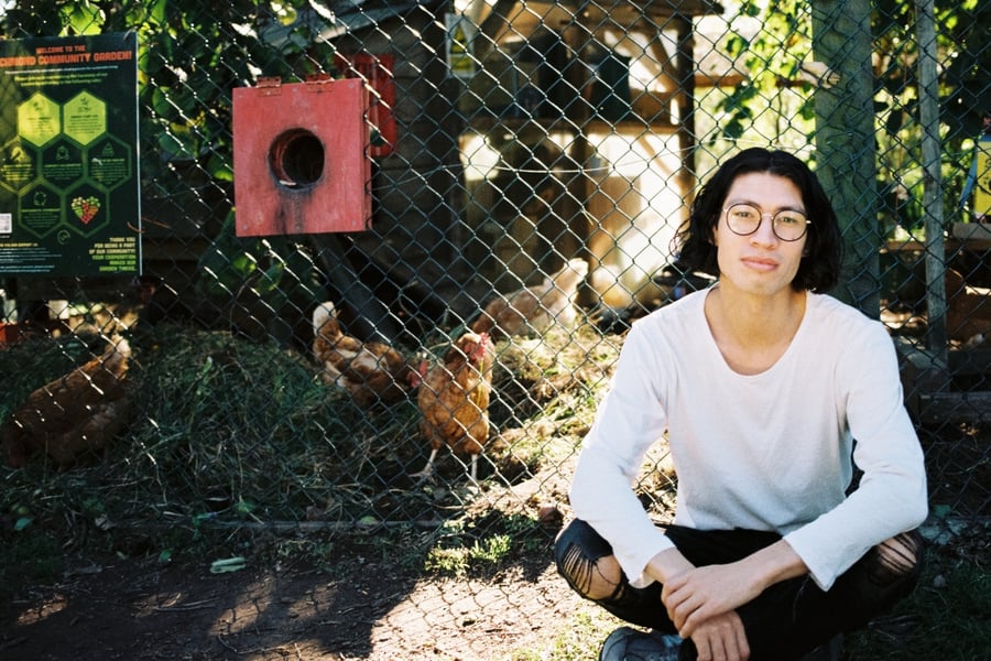 Pickle Darling press image