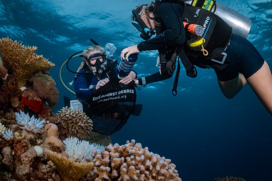 Dive Against Debris divers