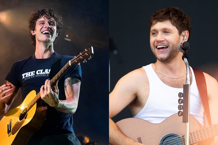 Shawn Mendes and Niall Horan