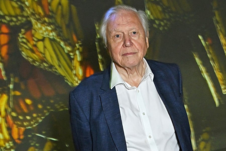 David Attenborough