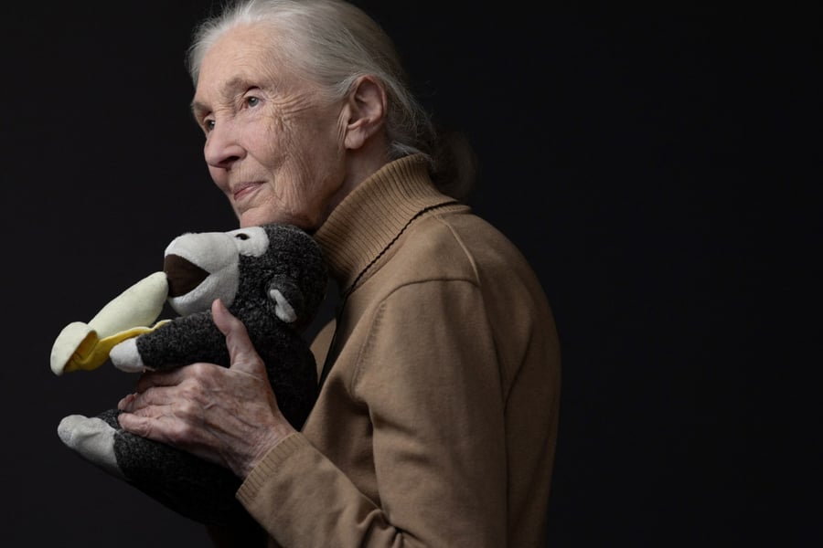 Jane Goodall