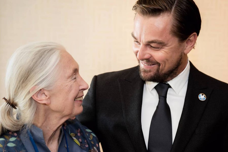 Goodall DiCaprio