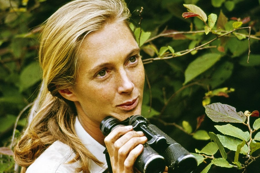 Jane Goodall
