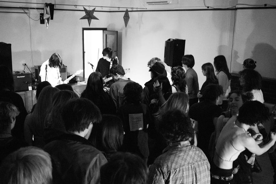 Sogg show in Dunedin