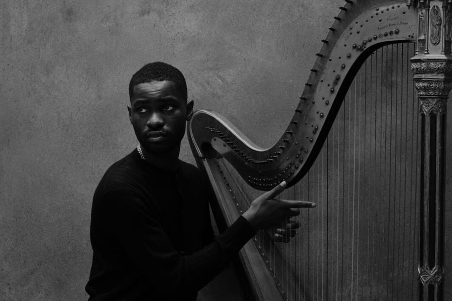 Dave playing the harp