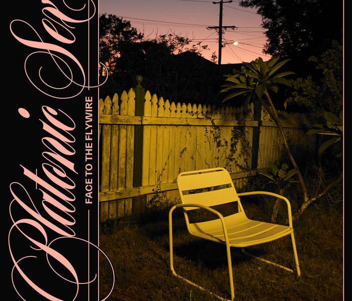 Platonic Sex Face to the Flywire