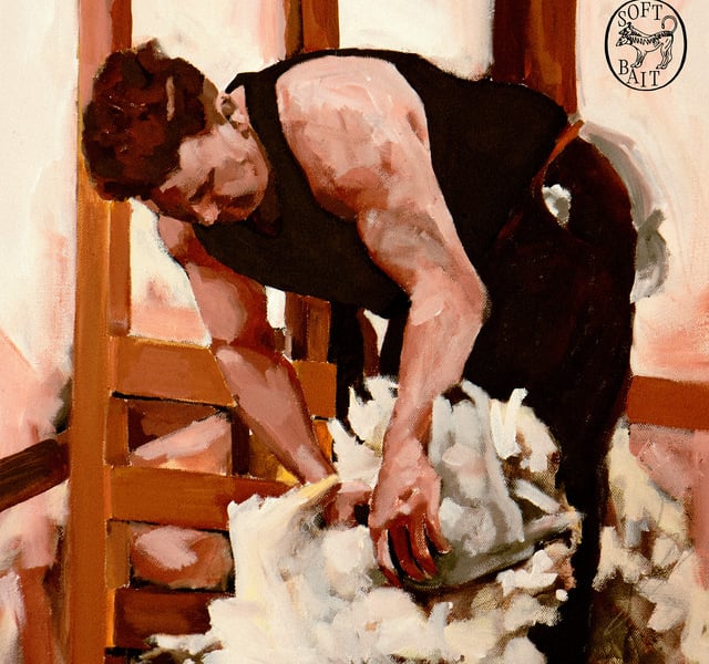 Soft Bait Life Advice album cover