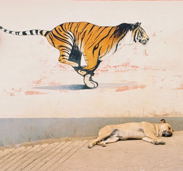 There's a Tuesday Blush album cover