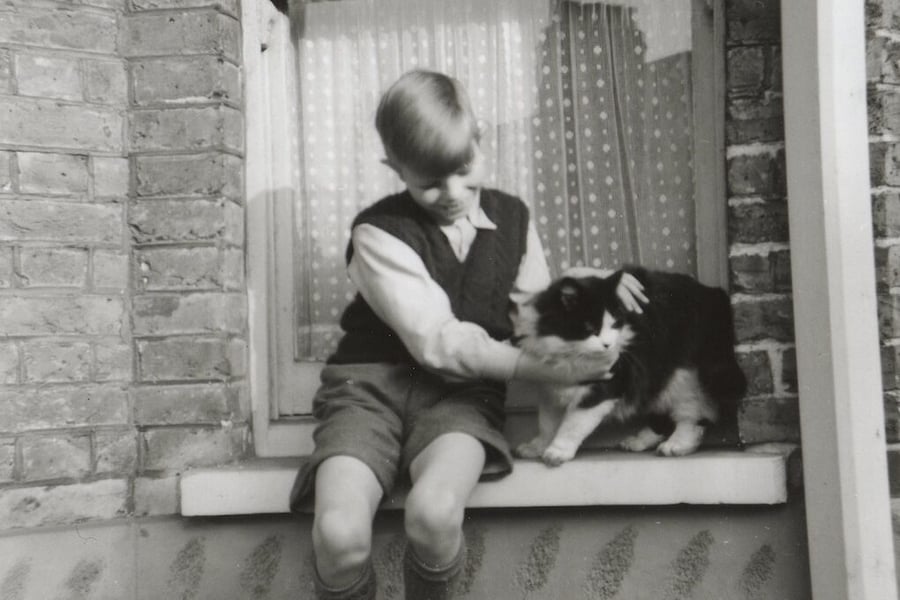 A young David Bowie with a cat sitting on a windowsill