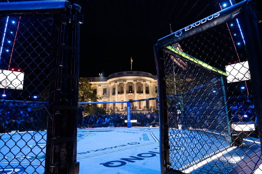 UFC Freedom 250